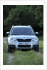 Skoda Yeti 2009 by Simon Clay