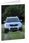Skoda Yeti 2009 by Simon Clay