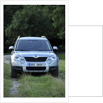 Skoda Yeti 2009 by Simon Clay