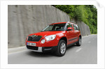 Skoda Yeti 2009 by Simon Clay