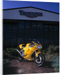 1996 Triumph Daytona T595 by Unknown