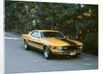 1970 Ford Mustang Twister by Unknown