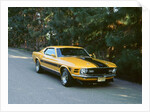 1970 Ford Mustang Twister by Unknown