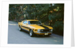 1970 Ford Mustang Twister by Unknown