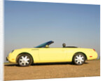 2003 Ford Thunderbird convertible by Unknown