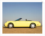 2003 Ford Thunderbird convertible by Unknown