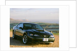 2002 Ford Mustang Bullitt by Unknown