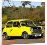 Mr.Bean's Mini from the tv programme of the same name by Unknown