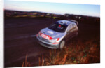 2002 Peugeot 206 WRC, Richard Burns, Network Q Rally by Unknown