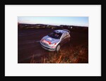 2002 Peugeot 206 WRC, Richard Burns, Network Q Rally by Unknown