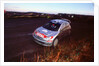 2002 Peugeot 206 WRC, Richard Burns, Network Q Rally by Unknown