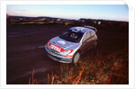2002 Peugeot 206 WRC, Richard Burns, Network Q Rally by Unknown