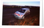 2002 Peugeot 206 WRC, Richard Burns, Network Q Rally by Unknown