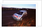2002 Peugeot 206 WRC, Richard Burns, Network Q Rally by Unknown