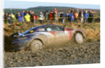 2002 Ford Puma driven by Alexander Foss on Network Q Rally by Unknown