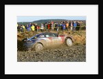 2002 Ford Puma driven by Alexander Foss on Network Q Rally by Unknown