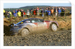 2002 Ford Puma driven by Alexander Foss on Network Q Rally by Unknown