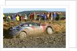 2002 Ford Puma driven by Alexander Foss on Network Q Rally by Unknown
