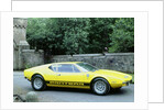 1974 De Tomaso Pantera GP4 by Unknown