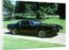 1979 Pontiac Firebird Trans Am by Unknown