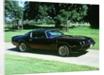 1979 Pontiac Firebird Trans Am by Unknown