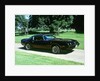 1979 Pontiac Firebird Trans Am by Unknown