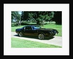 1979 Pontiac Firebird Trans Am by Unknown