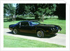 1979 Pontiac Firebird Trans Am by Unknown