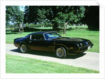 1979 Pontiac Firebird Trans Am by Unknown