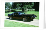 1979 Pontiac Firebird Trans Am by Unknown