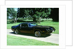 1979 Pontiac Firebird Trans Am by Unknown
