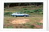 1965 Jaguar E type with smiling driver by Unknown