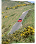 1996 Suzuki Baleno GS Sport on winding country lane,Dorset by Unknown