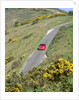 1996 Suzuki Baleno GS Sport on winding country lane,Dorset by Unknown