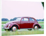 1950 Volkswagen Beetle by Unknown