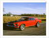 1969 Ford Mustang Mach 1 by Unknown