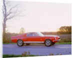 1968 Ford mustang GT350 Shelby cobra by Unknown