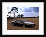 1978 Lotus Esprit Celebratory Edition by Unknown