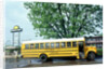 American School Bus,Texas by Unknown