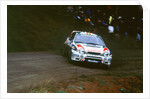 1999 Toyota Corolla wrc,Carlos Sainz.Network Q Rally by Unknown