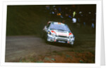1999 Toyota Corolla wrc,Carlos Sainz.Network Q Rally by Unknown