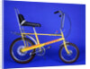 1976 Raleigh Chopper bicycle by Unknown