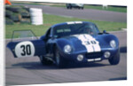 1966 AC Shelby Cobra ,1998 Goodwood revival meeting by Unknown