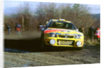 Seat wrc 1998 Network Q rally. H.Rovan Pera by Unknown
