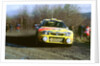 Seat wrc 1998 Network Q rally. H.Rovan Pera by Unknown