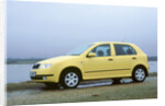 2001 Skoda Fabia 1.4 16v by Unknown