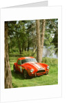 1964 AC Cobra Le Mans by Unknown