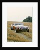 1966 AC Cobra 289 by Unknown