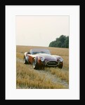 1966 AC Cobra 289 by Unknown