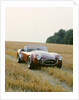 1966 AC Cobra 289 by Unknown